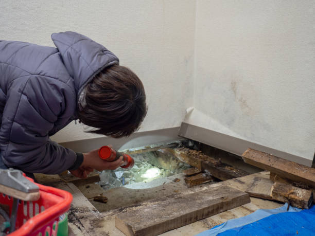 Asbestos and Lead Testing During Mold Inspection in San Marino, CA