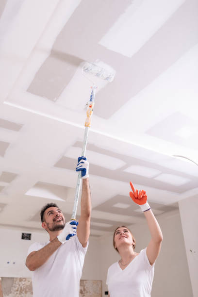 Reliable San Marino, CA Mold Removal Solutions