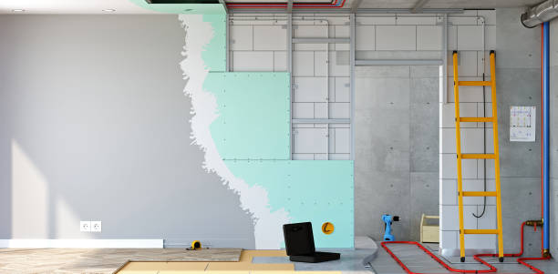 Mold Documentation for Insurance Claims in San Marino, CA
